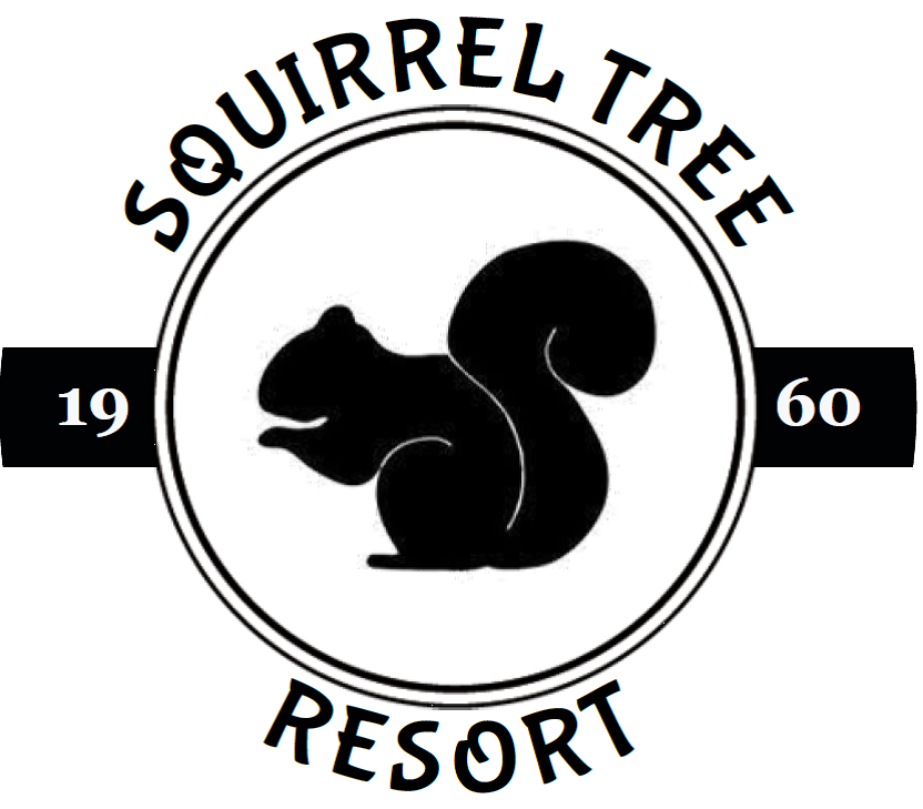 Squirrel Tree logo