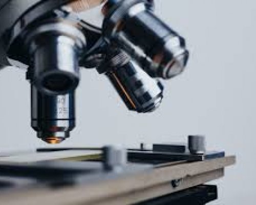 microscope